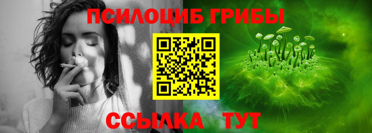 Петровск  Псилоцибиновые грибы Magic Shrooms  Вход с VPN 
